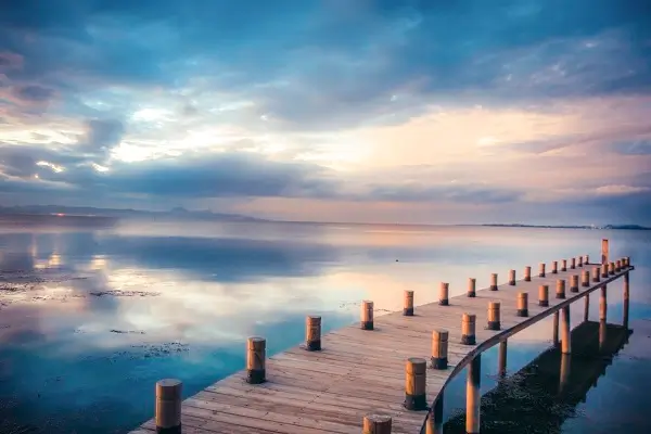 长沙农大学校简介