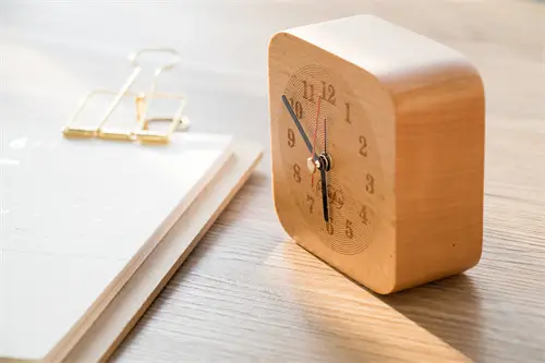 大连大学董莹简介照片